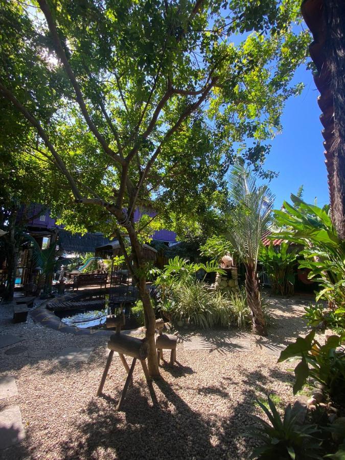 Pousada Papaya Container Ubatuba Dış mekan fotoğraf